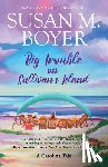 Boyer, Susan M. - Big Trouble on Sullivan's Island: A Carolina Tale