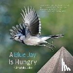 Vakalopoulos, Nick - A Blue Jay is Hungry