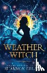 Delany, Shannon - Weather Witch