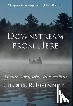 Eisendrath, Charles R. - Downstream from Here: A Foreign Correspondent Discovers Home