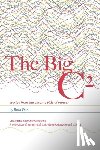Fein, Ruth - The Big C²: stories from the chronic side of cancer