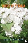 Peterson, Brett - hores of Syringa