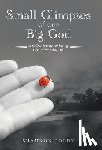 Foldy, Shannon - Small Glimpses of Our Big God