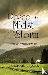 Vessels, J Michael - Peace in the Midst of the Storm