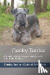 Marino, Loren M. - Cesky Terrier: A Guide for Owners, Prospective Owners & Conformation Judges