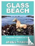 Marino, James - Glass Beach: A Field Survey / Fort Bragg, California