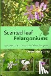 Olney, Charis Estelle - Scented leaf pelargoniums: A gardeners guide to the scented leaf pelargonium species