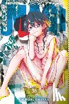 Ohtaka, Shinobu - Magi: The Labyrinth of Magic, Vol. 36