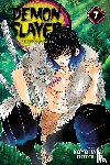 Gotouge, Koyoharu - Demon Slayer: Kimetsu no Yaiba, Vol. 7