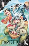 Inagaki, Riichiro - Dr. STONE, Vol. 8