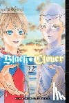Tabata, Yuki - Black Clover, Vol. 22
