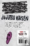 Akutami, Gege - Jujutsu Kaisen, Vol. 14