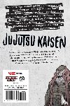 Akutami, Gege - Jujutsu Kaisen, Vol. 15