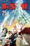 Inagaki, Riichiro - Dr. STONE, Vol. 25
