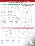  - Travell, Simons & Simons’ Trigger Point Pain Patterns Wall Chart