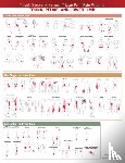  - Travell, Simons & Simons’ Trigger Point Pain Patterns Wall Chart