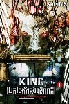 Hutton, Luke, Meguro, Noriko, Shienbishop - King of the Labyrinth, Vol. 1 (light novel)