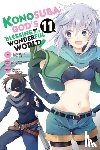 Steinbach, Kevin, Watari, Masahito, Akatsuki, Natsume, Gancio, Rochelle - Konosuba: God's Blessing on This Wonderful World!, Vol. 11 (manga)