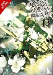 Omori, Fujino, Yasuda, Suzuhito - Is It Wrong to Try to Pick Up Girls in a Dungeon?, Vol. 13 (light novel)