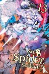 McKeon, Jenny, Baba, Okina, Kiryu, Tsukasa - So I'm a Spider, So What?, Vol. 13 (light novel)
