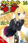 Trowell, Haydn, Ishibumi, Ichiei, Miyama-Zero, Miyama-Zero - High School DxD, Vol. 14 (light novel)