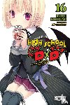Ishibumi, Ichiei - Ishibumi, I: High School DXD, Vol. 16 (Light Novel)