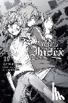 Kamachi, Kazuma, Haimura, Kiyotaka - A Certain Magical Index, Vol. 19 (light novel)