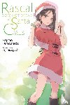 Cunningham, Andrew, Kamoshida, Hajime, Mizoguchi, Keji - Rascal Does Not Dream of Santa Claus (light novel)
