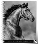  - Horse The Noble The Browntrout Portrait