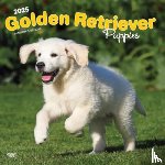 BROWNTROUT CALENDARS - 2025 Plastic-Free Golden Retriever Puppies Calendar