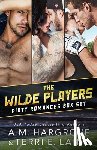 Laine, Terri E. - The Wilde Players Dirty Romances Box Set