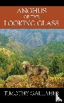 Gallaher, Timothy - Anghus of the Looking Glass