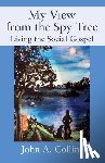 Collins, John a - My View from the Spy Tree
