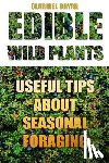 Bryan, Claribel - Edible Wild Plants: Useful Tips About Seasonal Foraging
