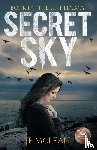 McLean, Jp - Secret Sky