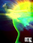 Norman, Robert, Dubeau, Adam, Self Development, Mastermind - Minimalism, Mindfulness for Beginners, Self Love, Positive Thinking