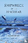 Healy, David - Shipwreck of the Singular