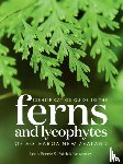 Perry, Leon, Brownsey, Pat - Identification Guide to the Ferns and Lycophytes of Aotearoa NZ