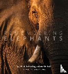 Raggett, Margot - Remembering Elephants