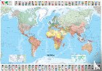 Michelin - The World - Michelin rolled & tubed wall map Encapsulated