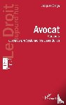 Delga, Jacques - Avocat