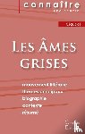 Claudel, Philippe - Fiche de lecture Les Ames grises de Claudel (Analyse litteraire de reference et resume complet)