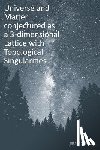 Gremaud, Gerard - Universe and Matter conjectured as a 3-dimensional Lattice with Topological Singularities