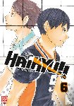 Furudate, Haruichi - Haikyu!! 06