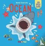Hawcock, David - Ocean