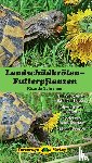 Schramm, Ricarda - Landschildkröten-Futterpflanzen