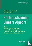 Michaels, Thomas C.T., Liechti, Marcel - Prufungstraining Lineare Algebra