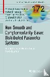  - Non-Smooth and Complementarity-Based Distributed Parameter Systems