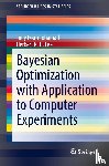 Pourmohamad, Tony, K. H. Lee, Herbert - Bayesian Optimization with Application to Computer Experiments