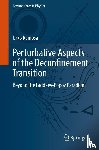 Reinosa, Urko - Perturbative Aspects of the Deconfinement Transition